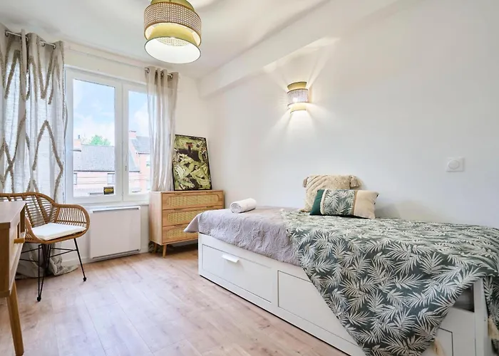 Proche Lille - Terrasse - Appartement *